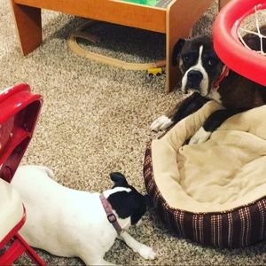 Meet your Posher, Dana